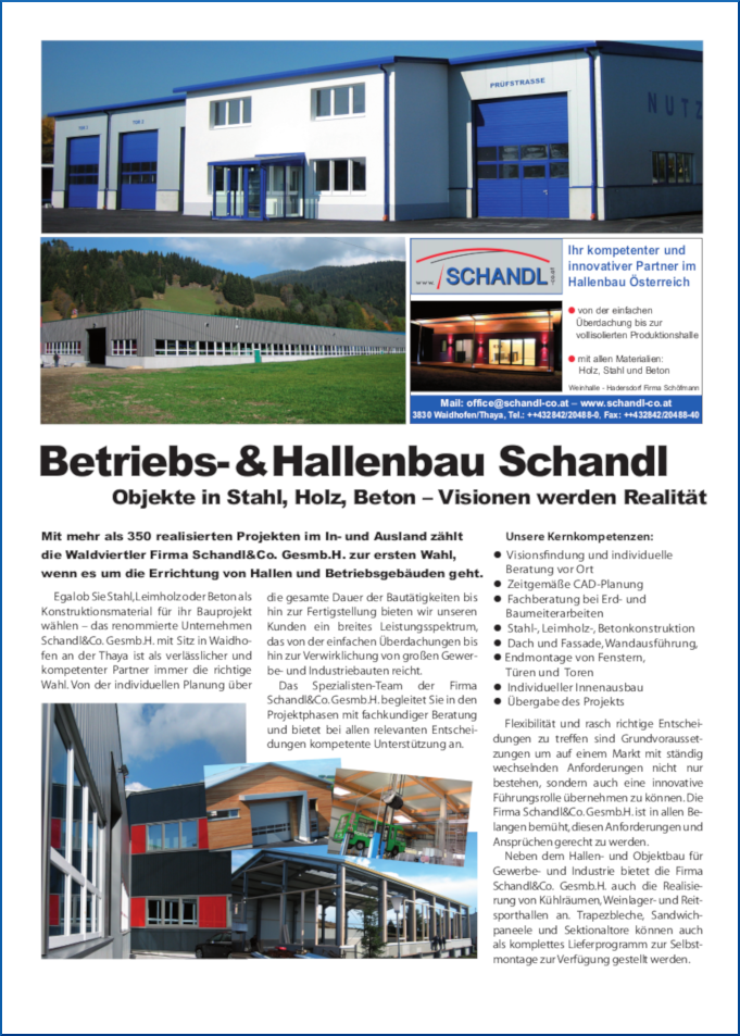 Betriebs- & Hallenbau Schandl.png